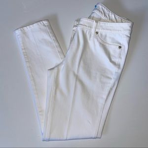 J.McLaughlin Jeans